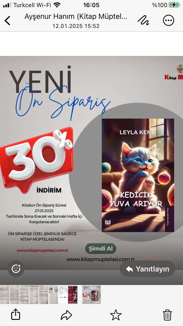 Kedicik Yuva Arıyor